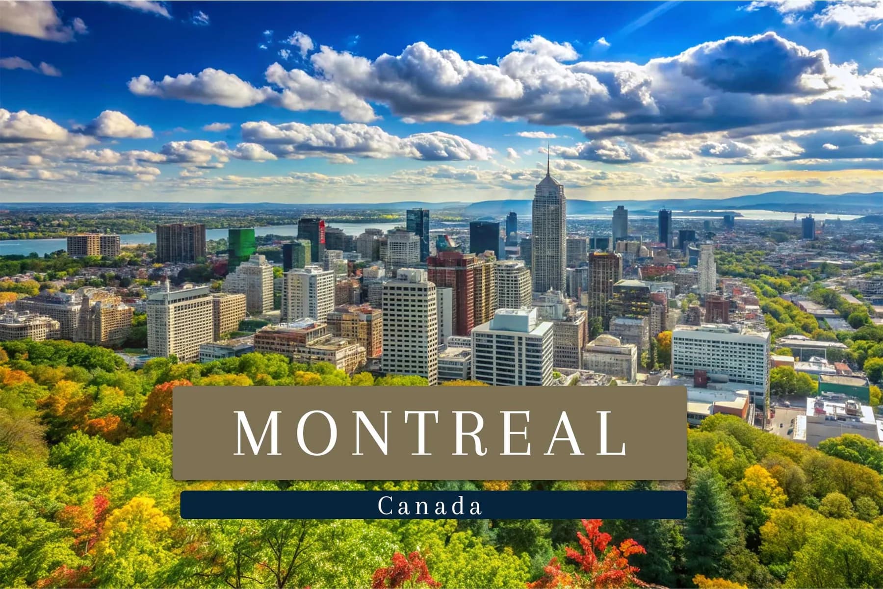 Montréal from Mount Royal